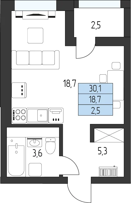 Планировка студии 30,1 м²